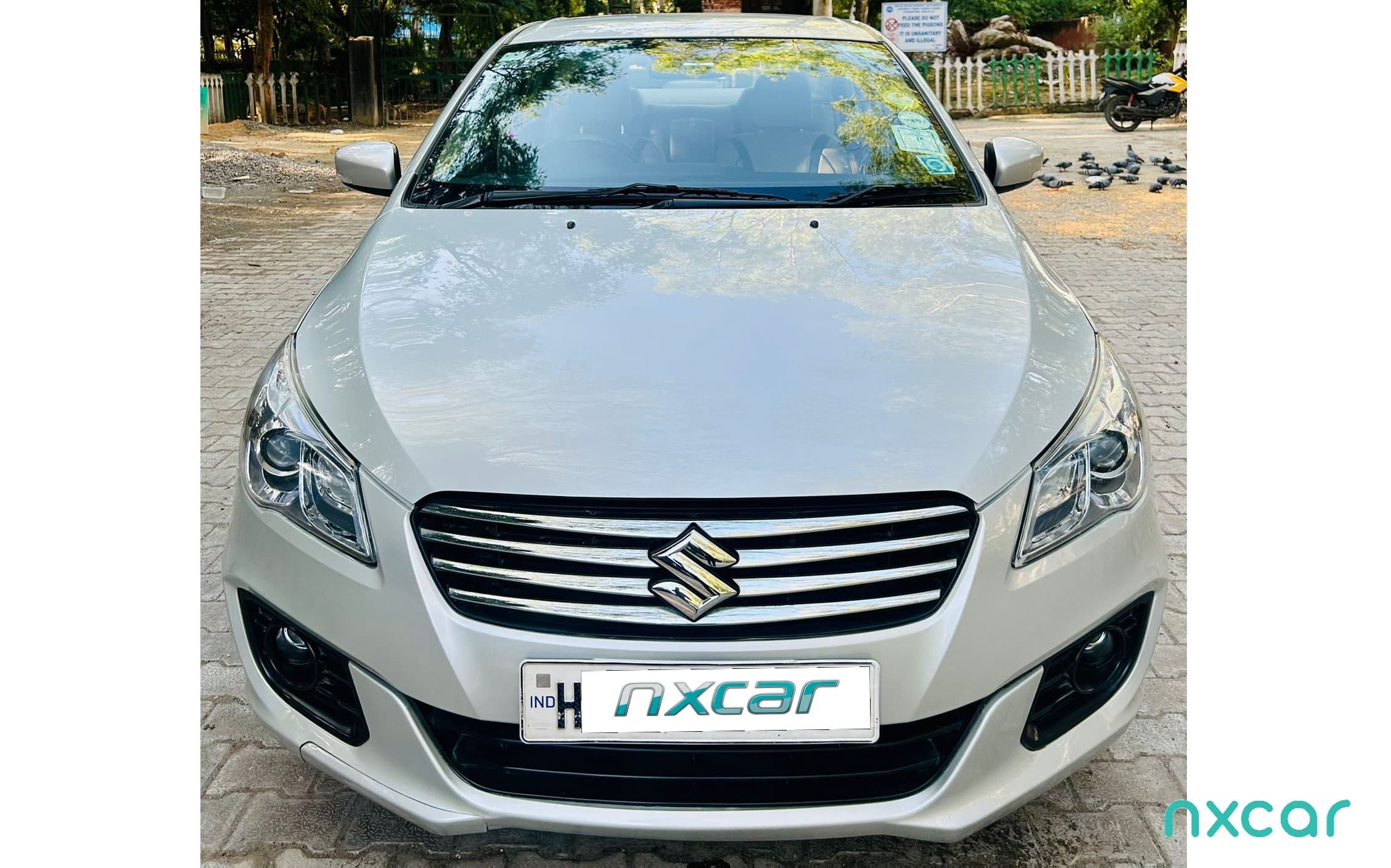 Maruti Suzuki Ciaz