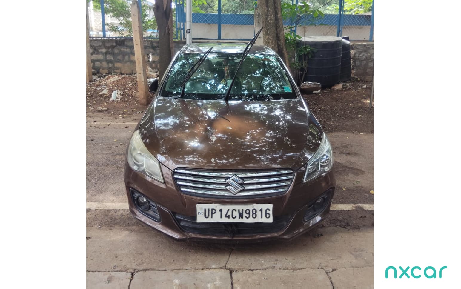Maruti Suzuki Ciaz