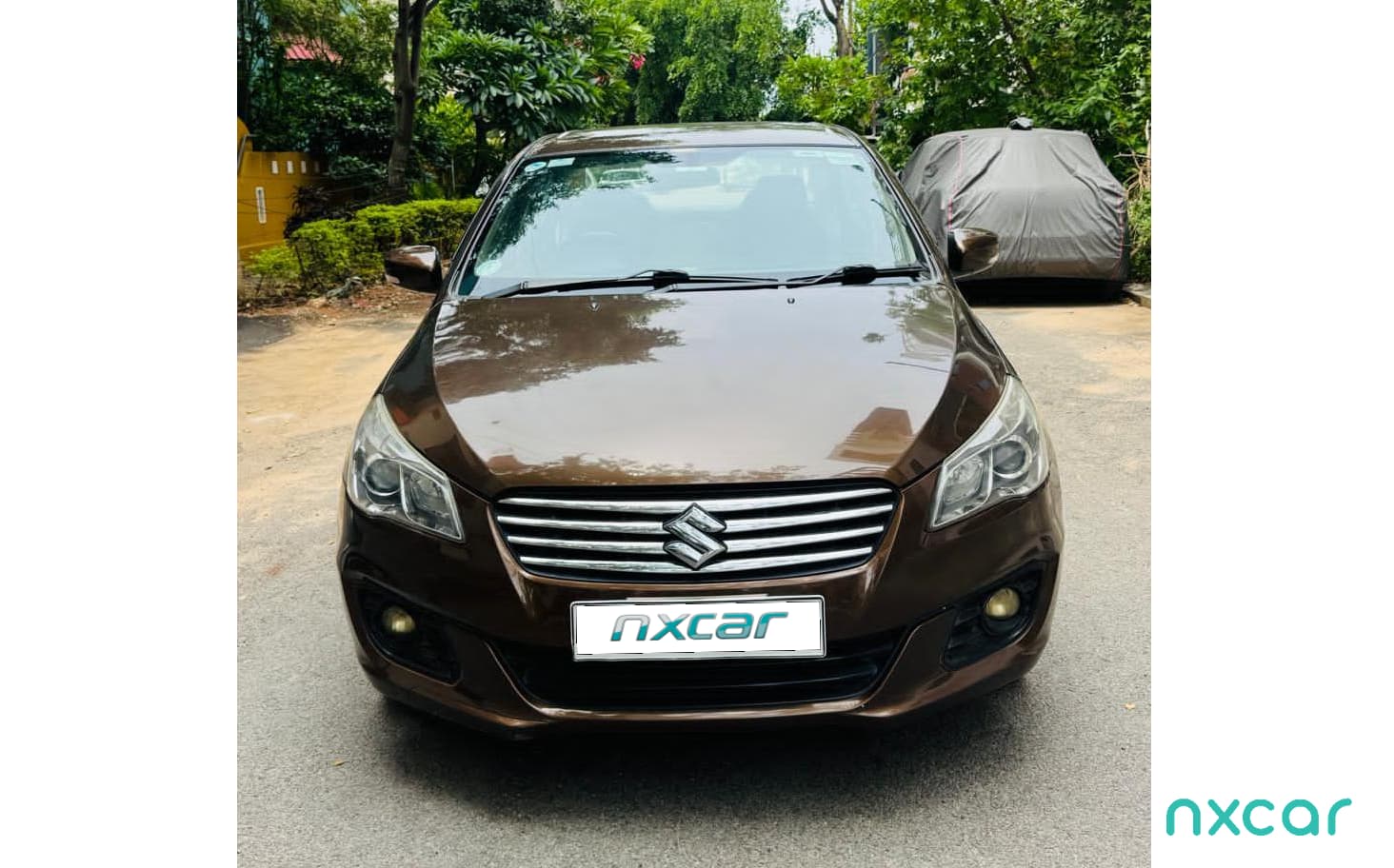 Maruti Suzuki Ciaz