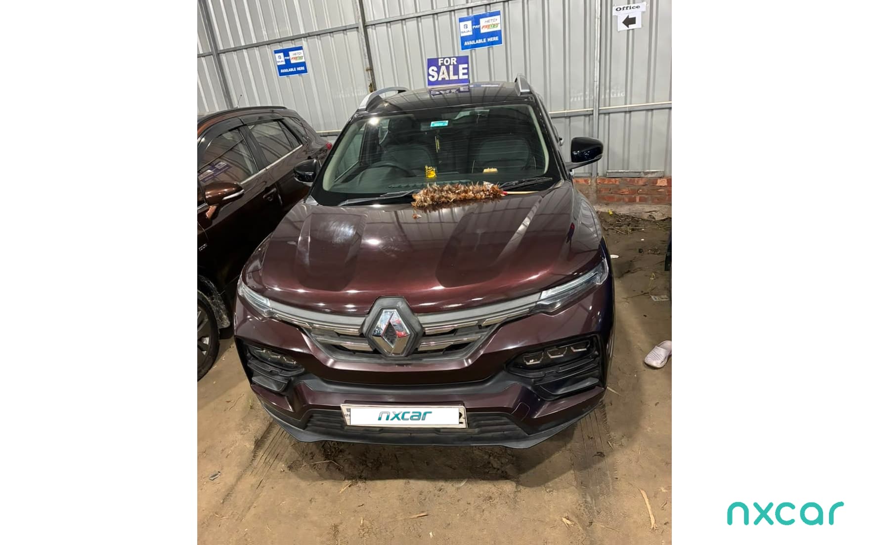 Renault Kiger