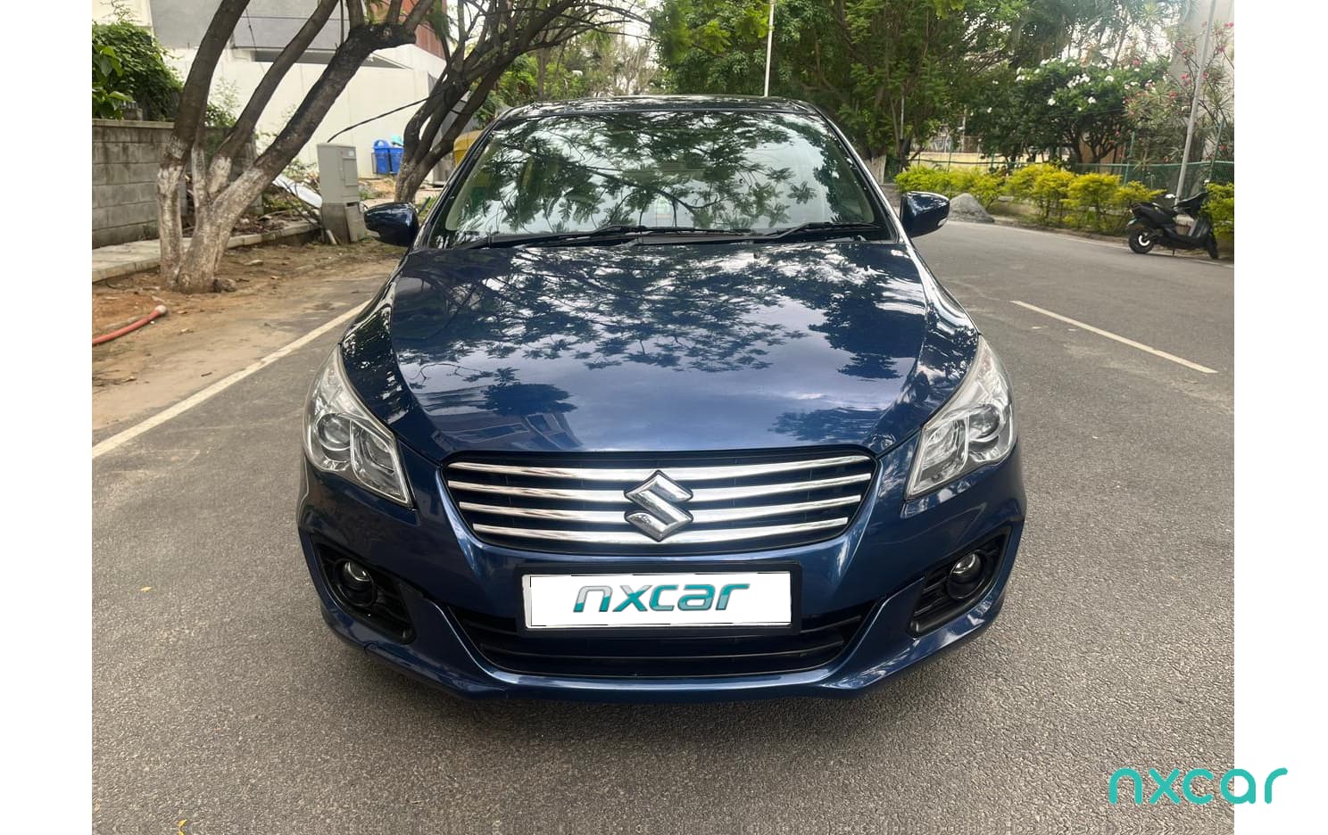 Maruti Suzuki Ciaz