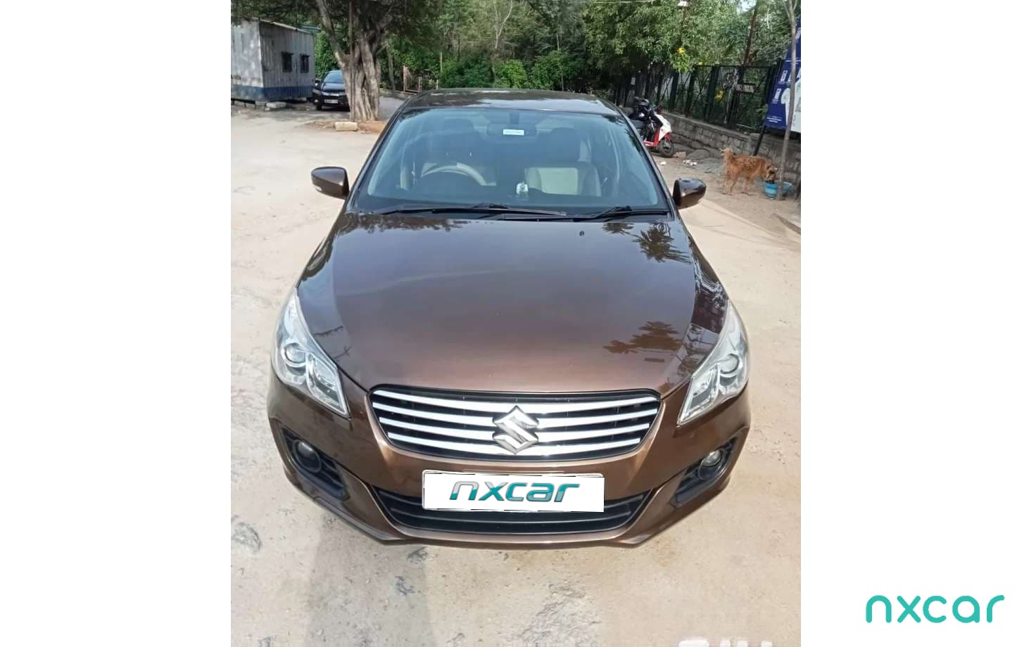 Maruti Suzuki Ciaz