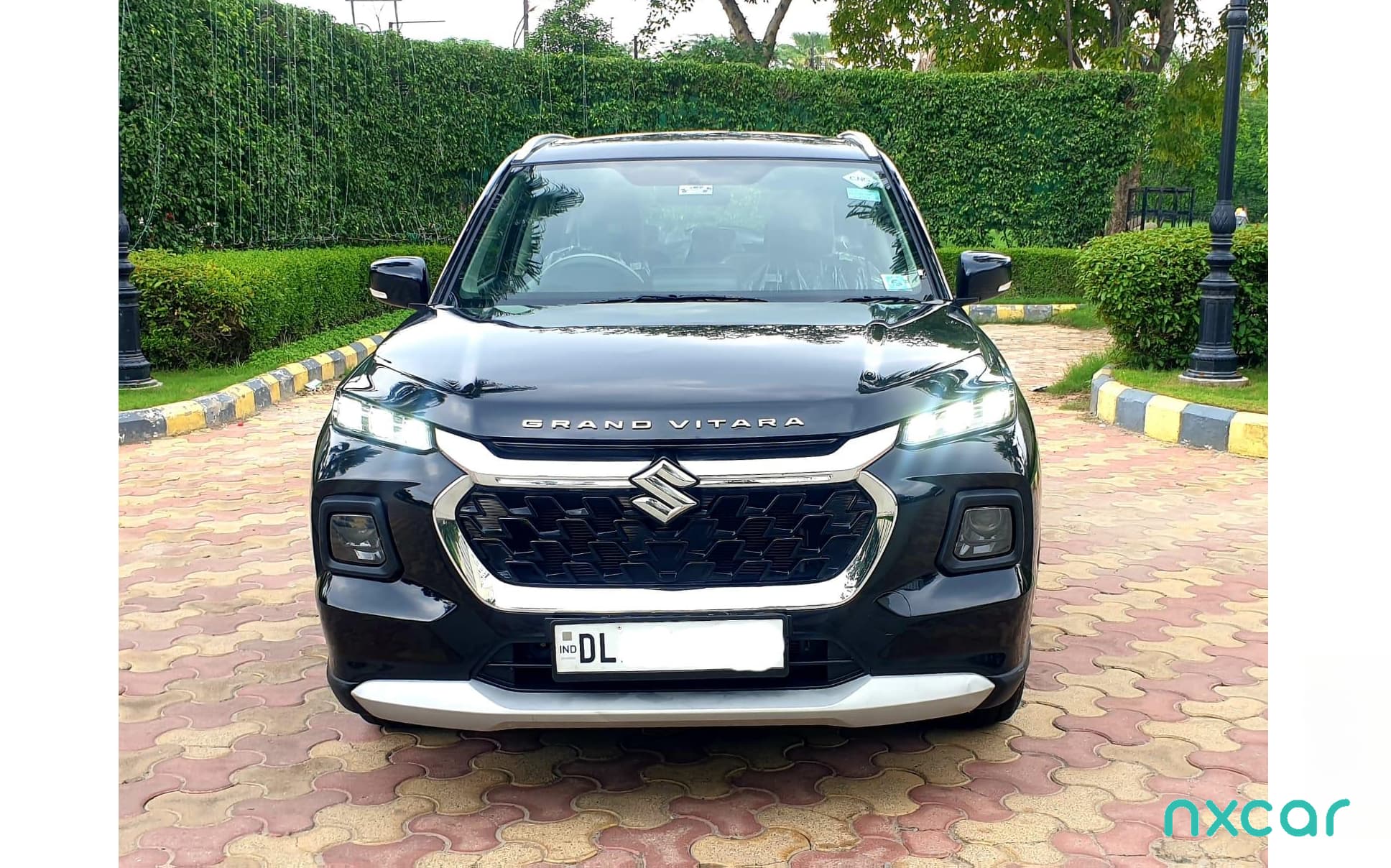 Maruti Suzuki Grand Vitara