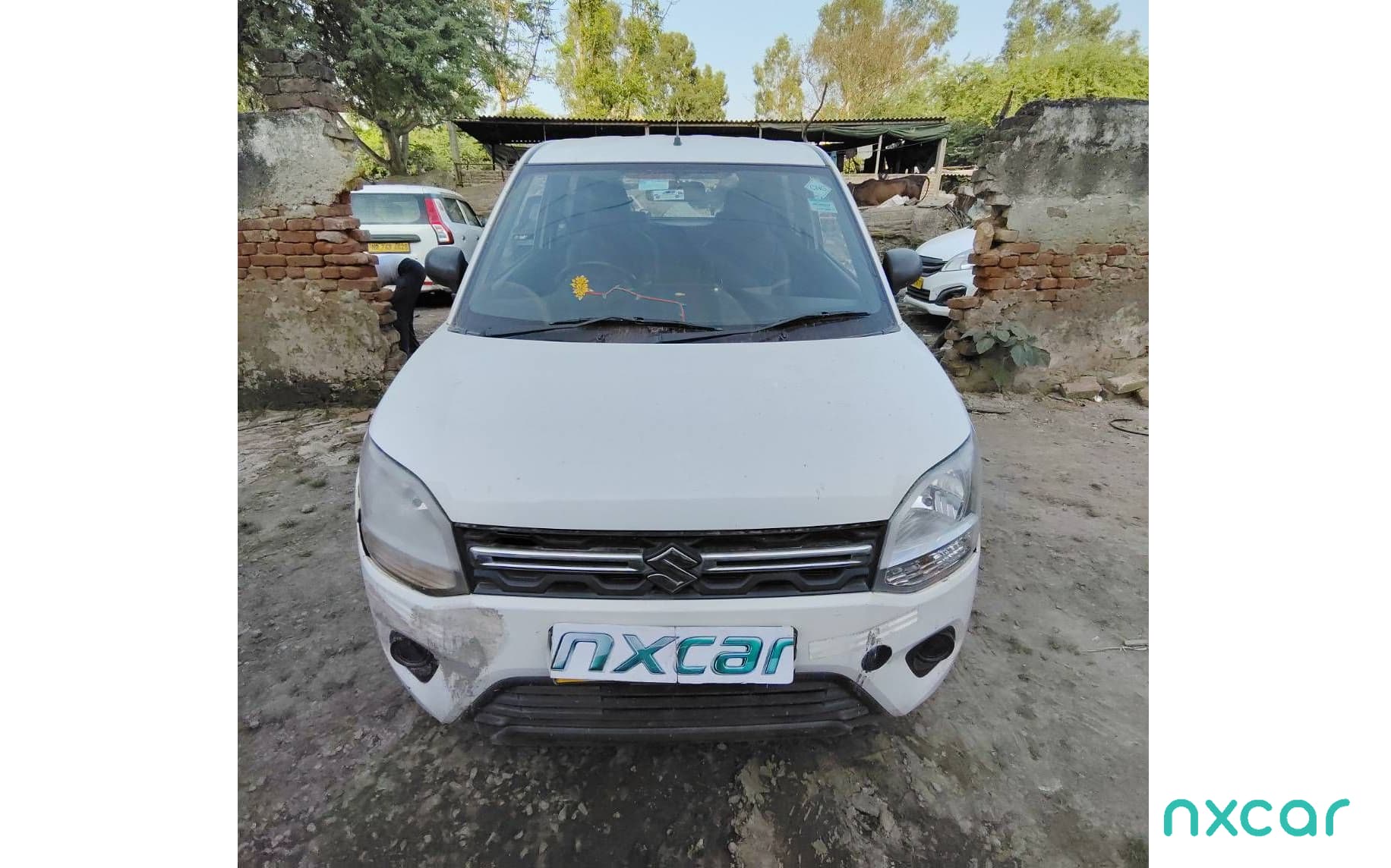 Maruti Suzuki Tour
