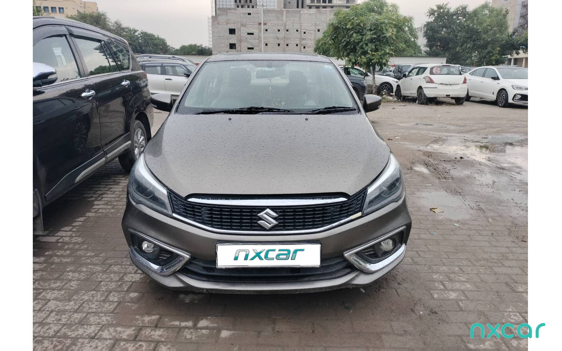 Maruti Suzuki Ciaz