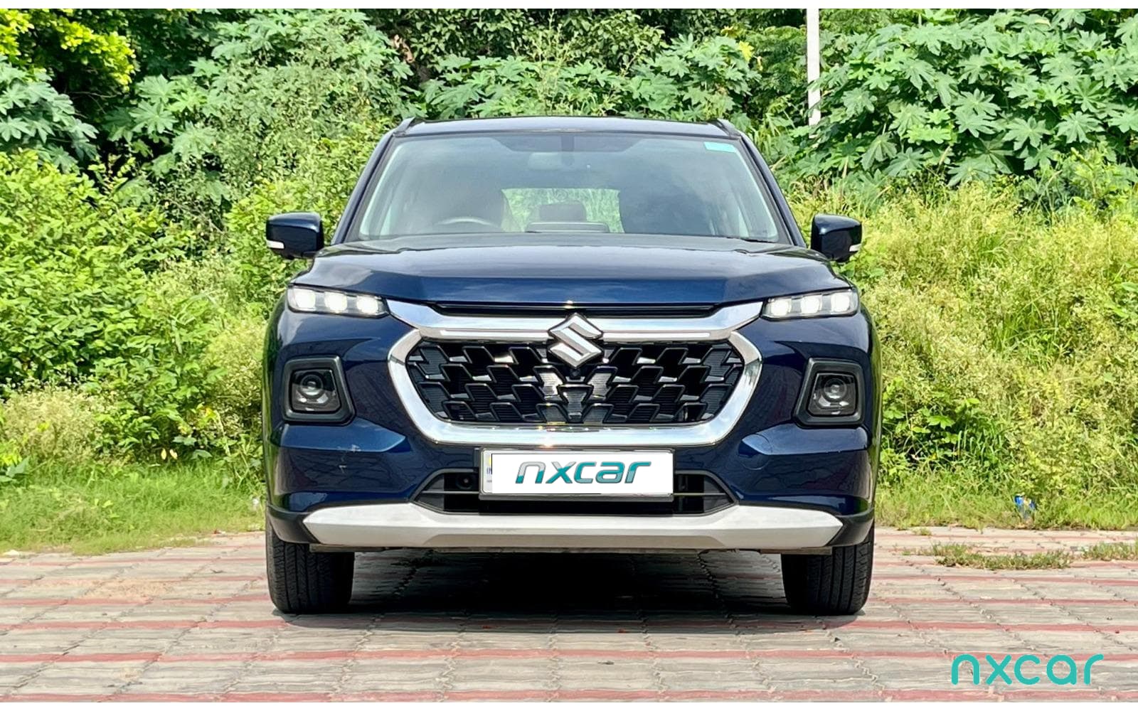 Maruti Suzuki Grand Vitara
