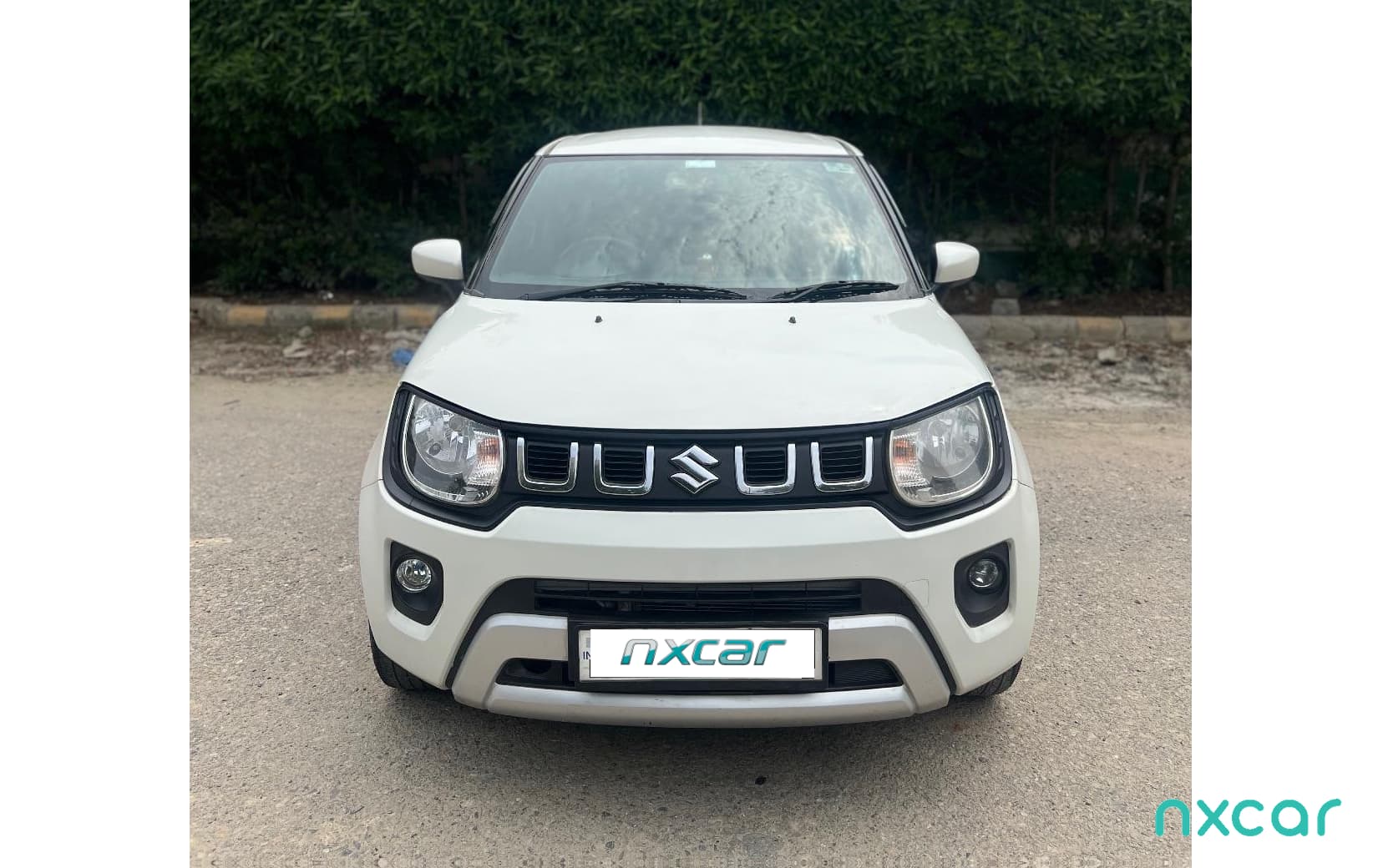 Maruti Suzuki Ignis