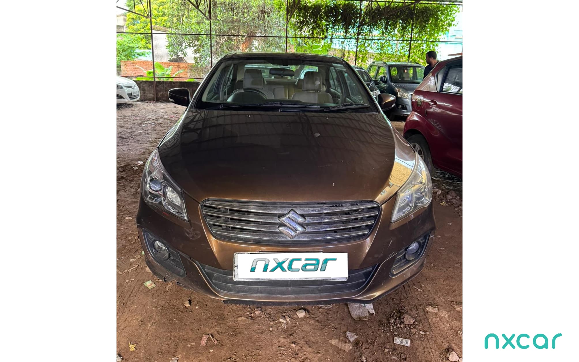 Maruti Suzuki Ciaz
